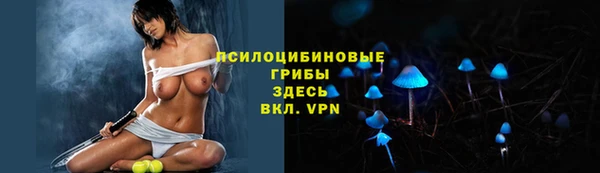 Альфа ПВП Заволжье