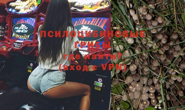 ПСИЛОЦИБИНОВЫЕ ГРИБЫ Заволжск